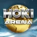 hoki-arena-icon